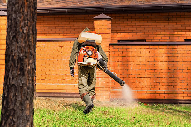 Trusted Rodent Control service in Creola, AL - Nex Pest Control